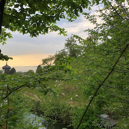 Haus Am Felsen, Ferien In Vorarlberger Architektur Leilighet Bregenz Eksteriør bilde